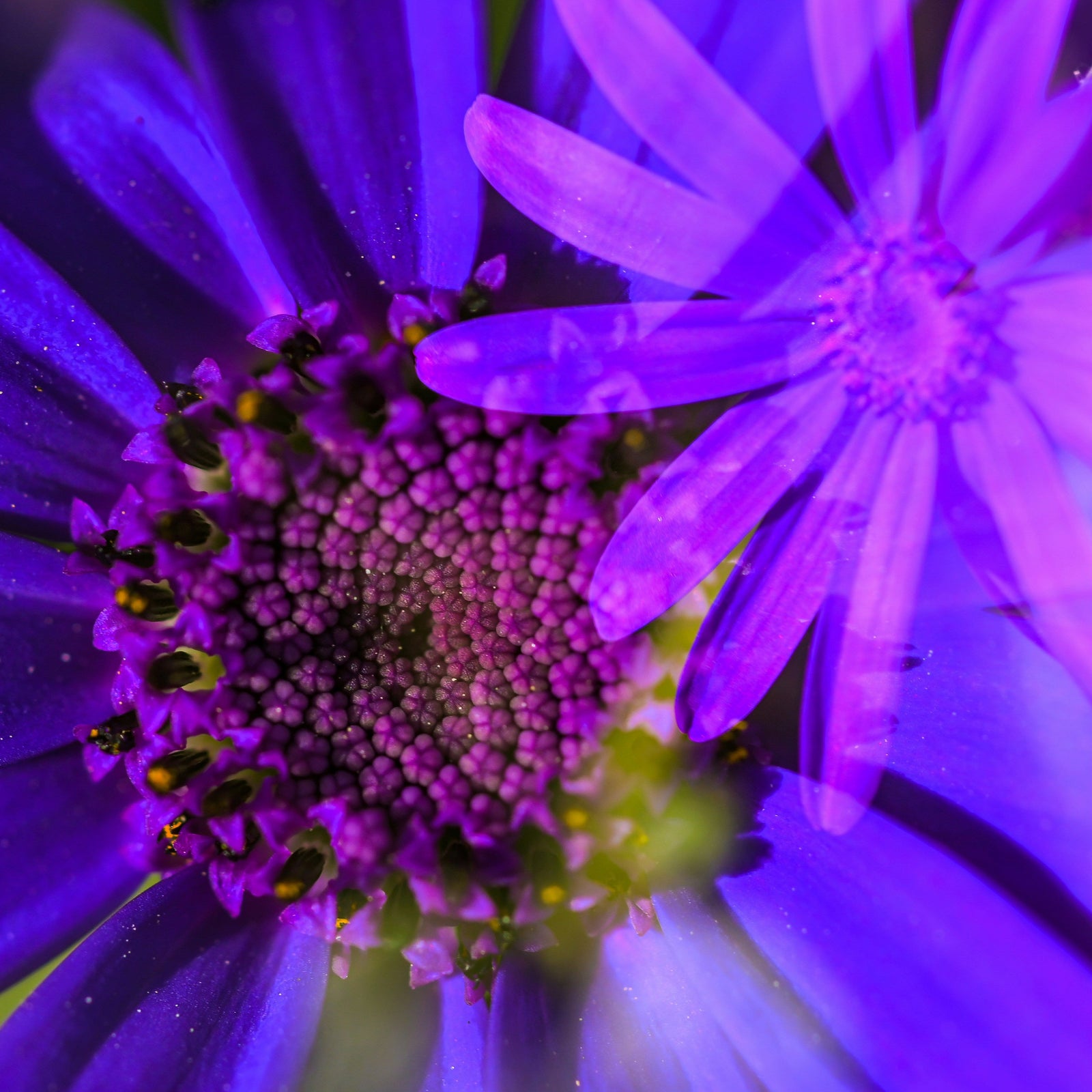 13tracks playlist 11