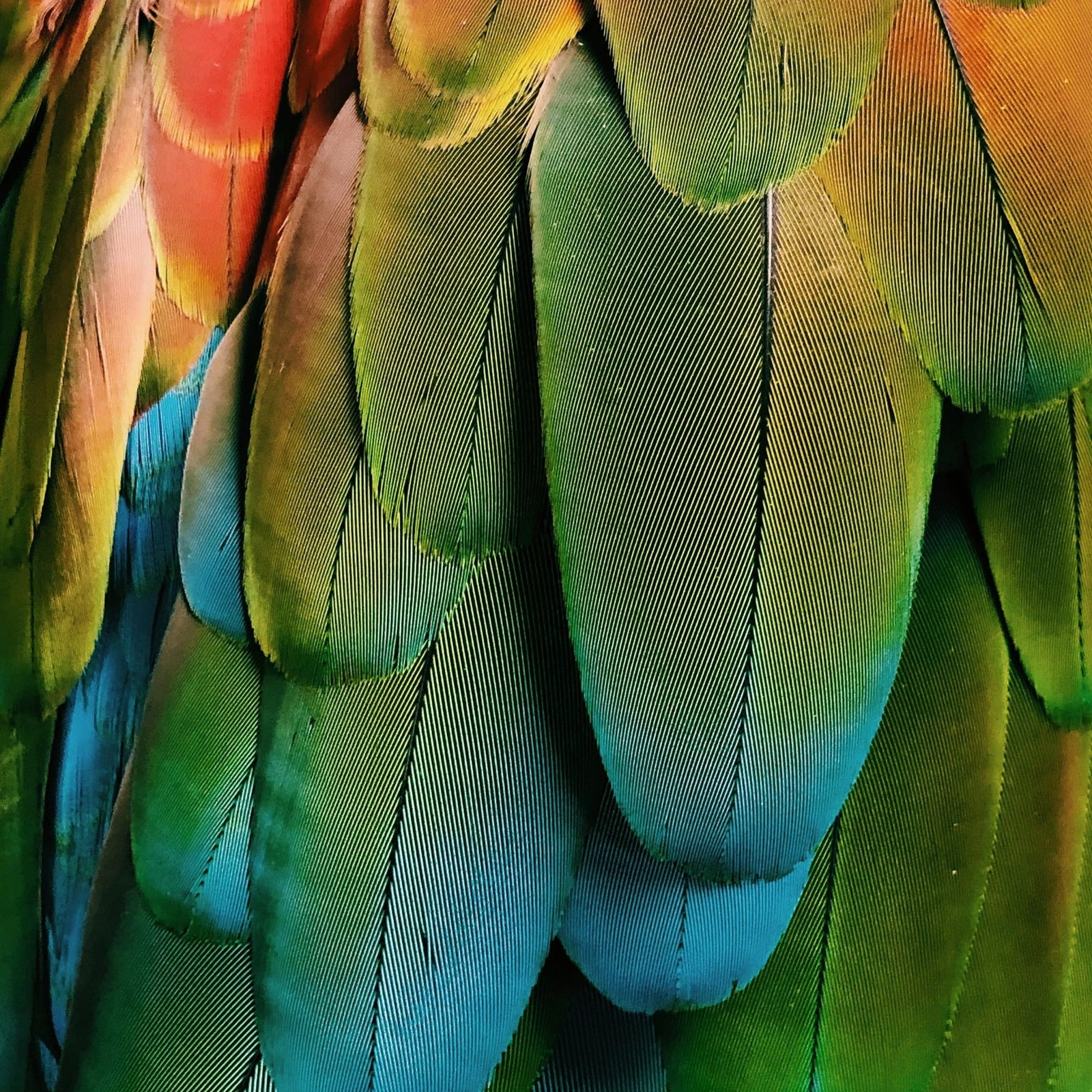 13tracks playlist 34