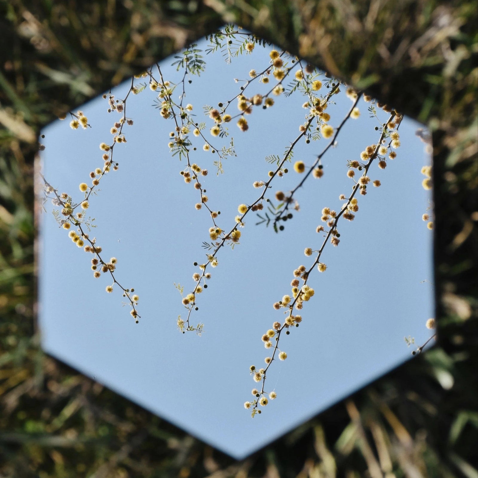 13tracks playlist 28