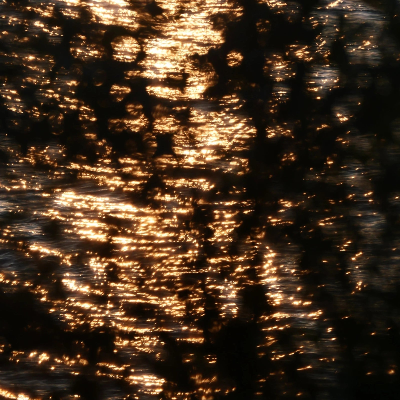 13tracks playlist 31